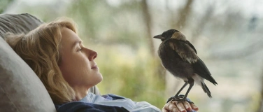 Event-Image for 'Buch und Film: Befl&uuml;gelt'