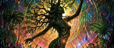 Event-Image for 'the conscious rave- be like a tree, dance with the plants'