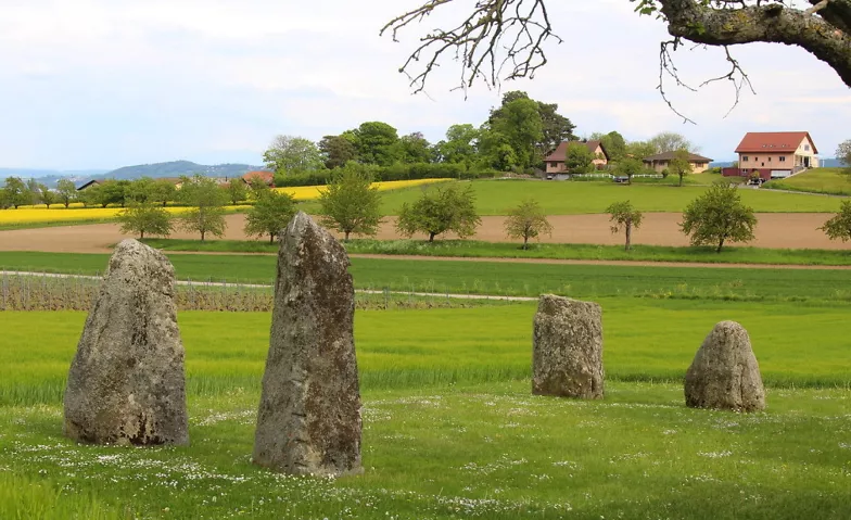 Die Menhire von Corcelles-près-Concise Menhire, Le tombex, 1426 Corcelles-près-Concise Billets