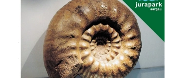 Event-Image for 'Steinreicher Jurapark &ndash; Auf den Spuren des Eisenreichtums'