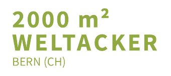 Veranstalter:in von Öffentliche Ackertour auf dem Weltacker
