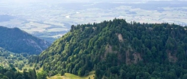 Event-Image for 'Exkursion Buchenwald und Klimawandel im UNESCO-Weltnaturerbe'