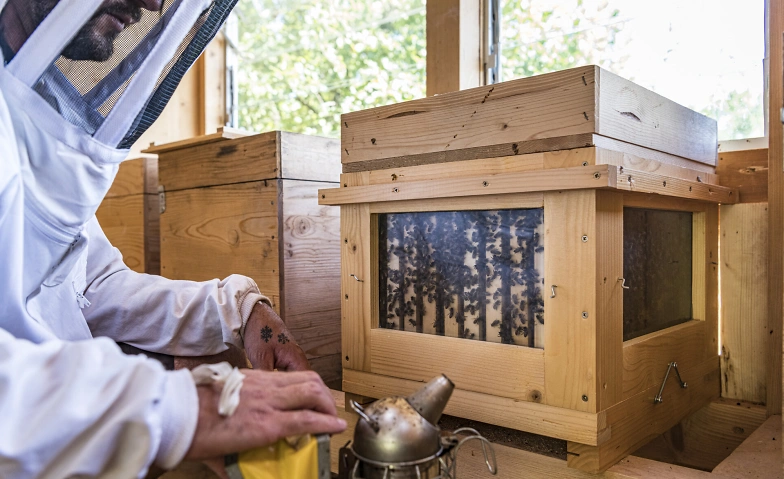 Event-Image for 'Offenes Bienenhaus'