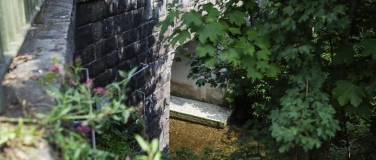 Event-Image for 'Eulachf&uuml;hrung mit WNTI'