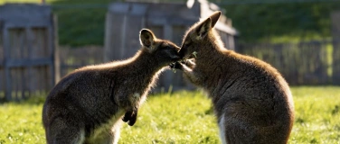 Event-Image for 'Charity Inspirationsnacht'