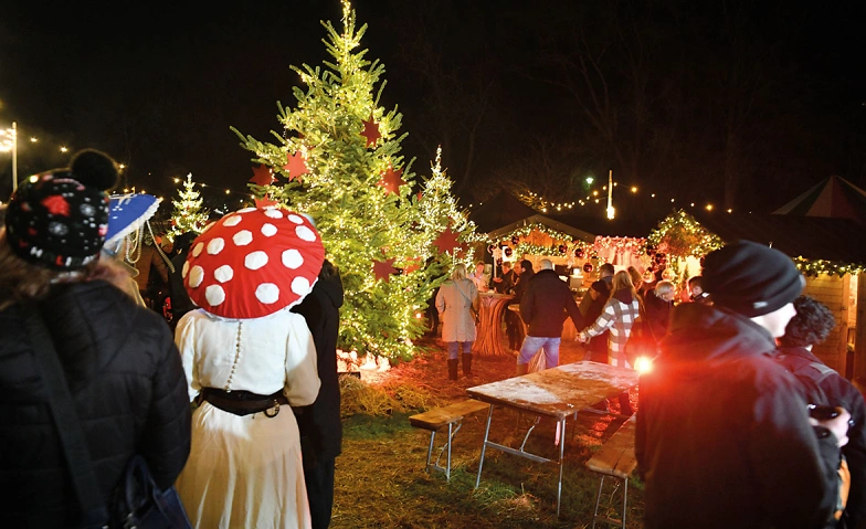 Event-Image for 'Weihnachtsgarten'