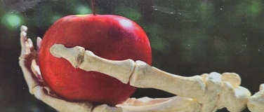 Event-Image for 'Osteoporose'