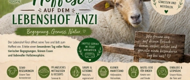 Event-Image for 'Hoffest auf dem Lebenshof &Auml;nzi'