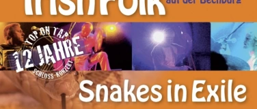 Event-Image for '12. Irish Folk Konzert mit Snakes in Exile'