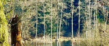 Event-Image for 'Moore und Mor&auml;nen rund um den Sagenweg'