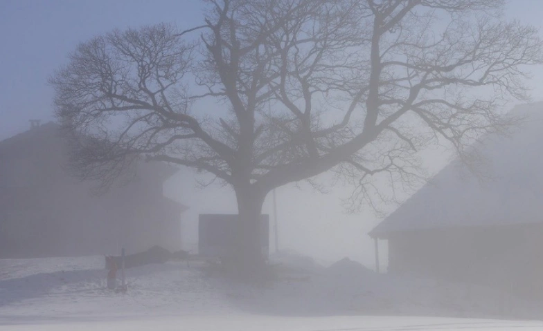 Event-Image for 'Hiänderhuit im Chloschtr - Sagenanlass'