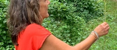 Event-Image for 'Wildpflanzen-Spaziergang in Niederlenz'