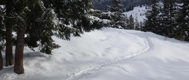 Event-Image for 'Winterwanderung mit Fondue'