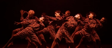 Event-Image for 'Bachelor Contemporary Dance presents:'