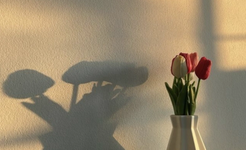 Yoga x Face Yoga Billets