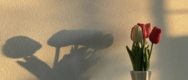 Event-Image for 'Yoga x Face Yoga'