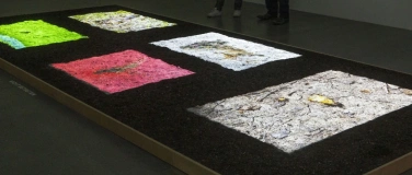 Event-Image for 'Führung durch die Kunstinstallation BINSEKT'