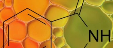 Event-Image for 'Biochemie der &auml;therischen &Ouml;le'