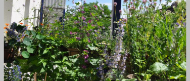 Event-Image for 'Biodiversit&auml;t im Schulmuseum Thurgau, Amriswil'