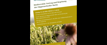 Event-Image for 'Biodiversität: Vortrag und Begehung des Näppenschwiler Bachs'
