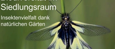 Event-Image for 'Biodiversit&auml;t im Siedlungsraum - Insektenvielfalt in G&auml;rten'