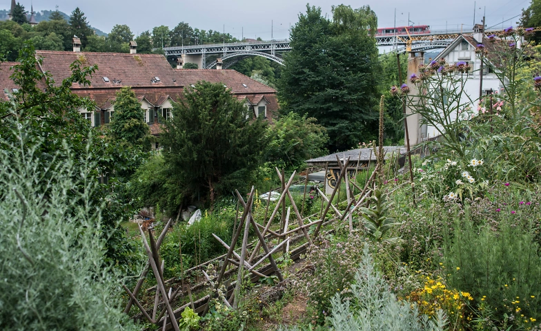 Event-Image for 'Biologisch G&auml;rtnern mehrteiliger Bioterra Kurs'