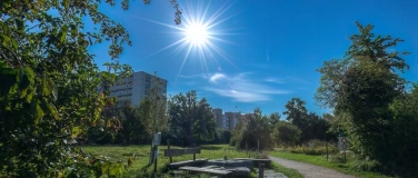 Event-Image for 'Pflegeeinsatz im Biotop Am Stauseee, Birsfelden'