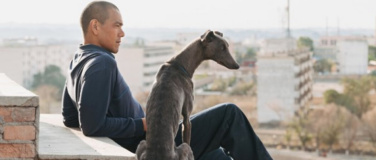 Event-Image for 'Black Dog'