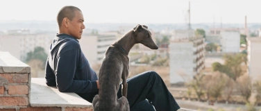 Event-Image for 'Solothurner Sommerfilme "Black Dog"'