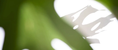 Event-Image for '28 Formen der Natur - A. Olszewski P. Giefer'