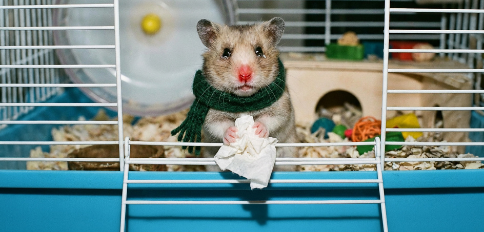 Blog Header Flex Tickets1 2