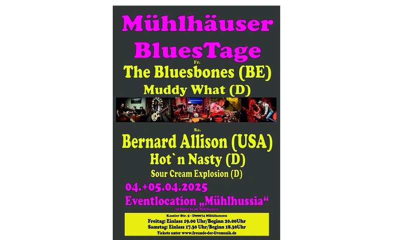 M&uuml;hlh&auml;user BluesTage Billets