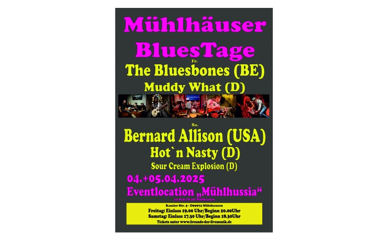 M&uuml;hlh&auml;user BluesTage Billets