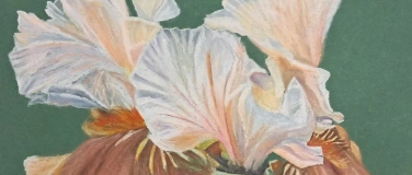 Event-Image for 'Joy Schmidt Art  'Raumnahme''