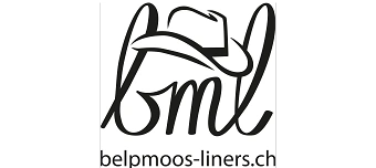 Event organiser of Open-Air zum 10 - j&auml;hrigen Vereinsjubil&auml;um