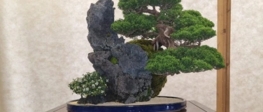 Event-Image for 'Bonsai - Die Welt der kleinen B&auml;ume'