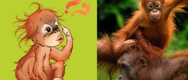 Event-Image for 'FOTO-SAFARI F&Uuml;R KINDER'
