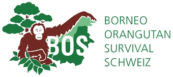 Veranstalter:in von BILDERBUCHKINO &laquo;HALT DICH GUT AN MAMA FEST&raquo;