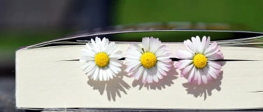 Event-Image for 'B&uuml;cherfr&uuml;hling'