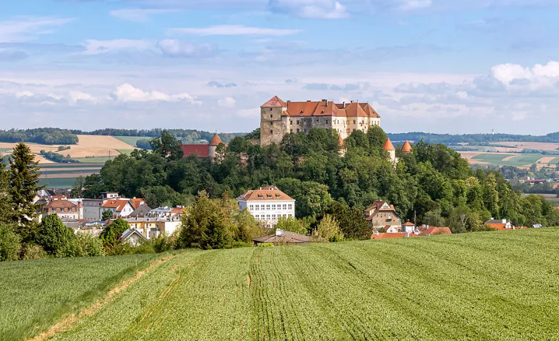 Burg Neulengbach - Geschichtliche Führung Burg Neulengbach Billets