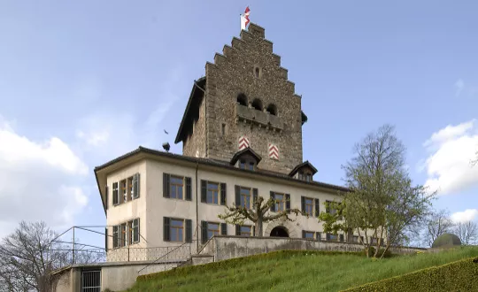 Klassik im Schloss Schloss Uster Billets