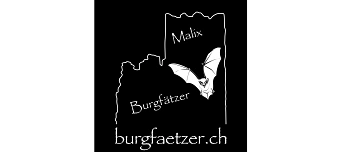 Event organiser of Burgfätzata