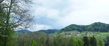 Event-Image for 'Klimaanpassung und Biodiversität im Wald'