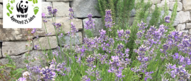 Event-Image for 'Buurezmorge im Kräutergarten'