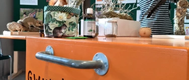 Event-Image for 'Gwunderstunde: Ausgraben'