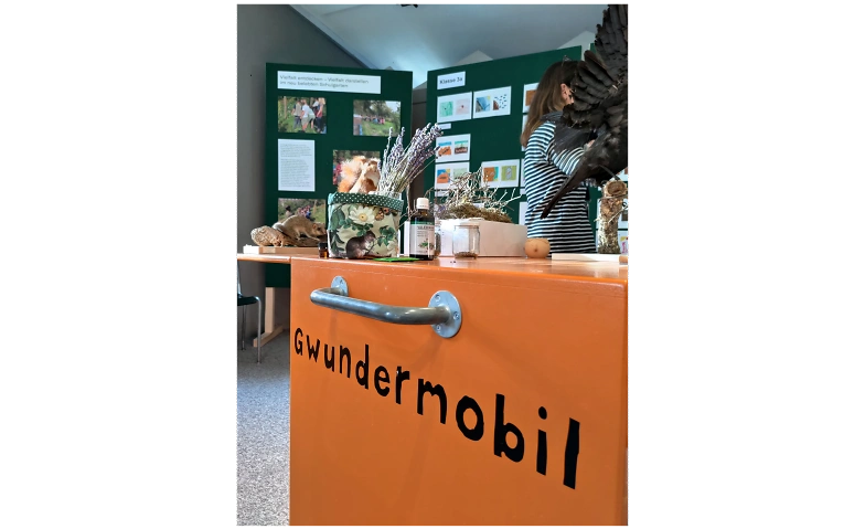 Event-Image for 'Gwunderstunde: Krabbeltiere'