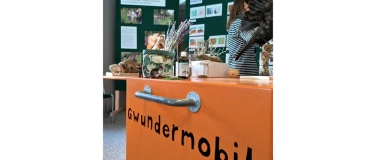 Event-Image for 'Gwunderstunde: Krabbeltiere'