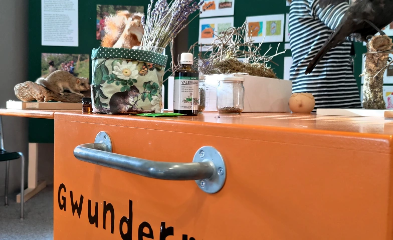 Event-Image for 'Gwunderstunde: Steine schleifen'
