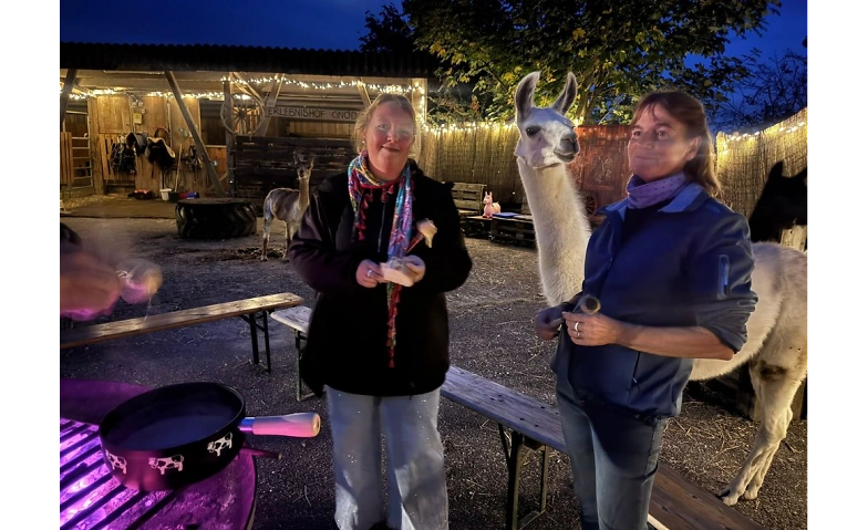 Event-Image for 'Fondue inmitten Alpakas - Hägendorf'