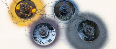 Event-Image for 'Caline Aoun'